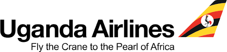 Airline logo